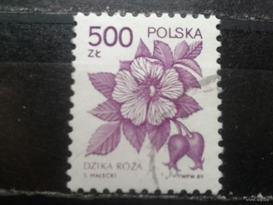 Польша, 1989, Стандарт, лекарственные растения