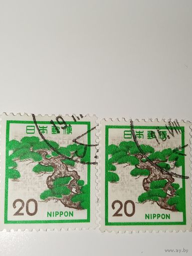 Япония 1972 год Японская сосна