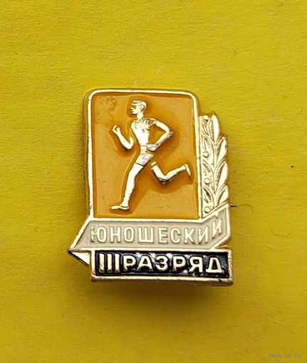 III юношеский разряд. К-58.