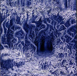 Ildjarn "Forest Poetry" CD