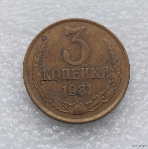 3 копейки 1981 СССР #09