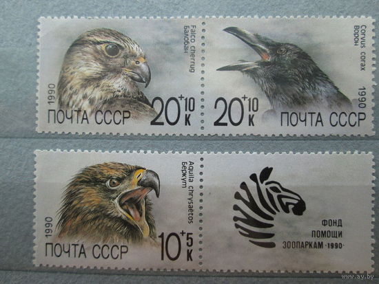 Птицы 1990 г