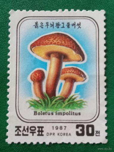 КНДР 1987. Грибы. Boletus Impolitus
