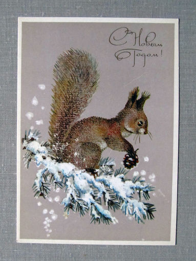 С026-0020 Открытка С Новым годом Белочка Художник Манилова 1980 Чистая