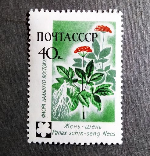 Марка СССР 1960 год Флора СССР