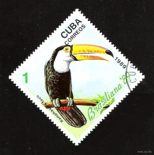 RAMPHASLOS TOCO . ПТИЦА . КУБА . 1989г. гаш. Фауна
