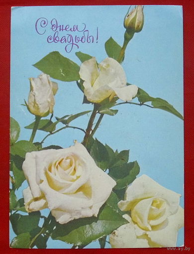 С Днём свадьбы! Чистая. Фото Френкеля. 1977 года. 811.