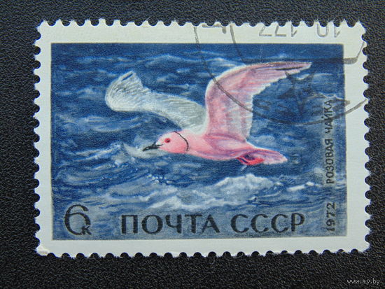 СССР 1972г. Розовая чайка.
