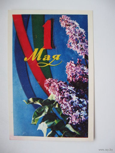 Савалова Е. 1971