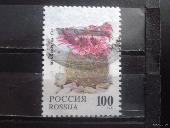 Россия 1994 Кактус