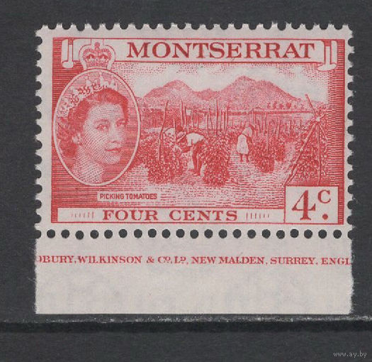 Монтсеррат 1953** Сбор томатов, Елизавета II  SG#140