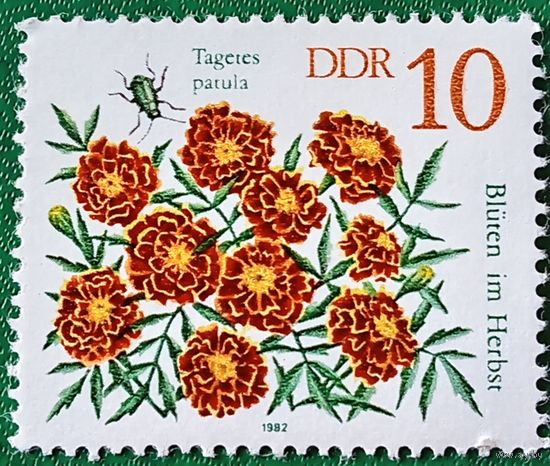ГДР 1982. Цветы. Бархатцы отклоненные
