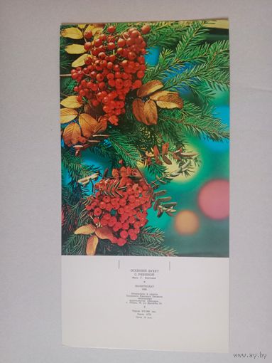 Костенко,1986,32 на 16