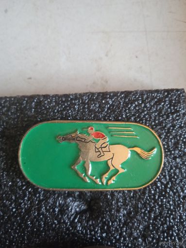 Конный спрорт 2