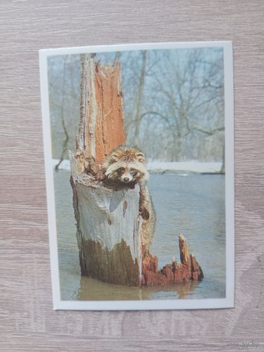 Календарик 1990