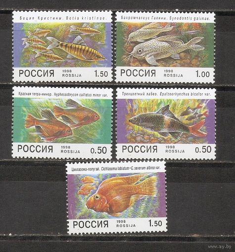 ФФ1 Россия 1998 Рыбы