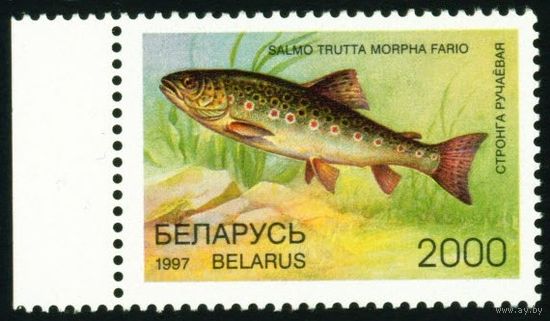 Редкие виды рыб водоемов Беларусь 1997 год (229) 1 марка