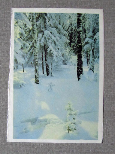 С026-0024 Открытка Зимний лес Фрагмент Мягкая тонкая бумага