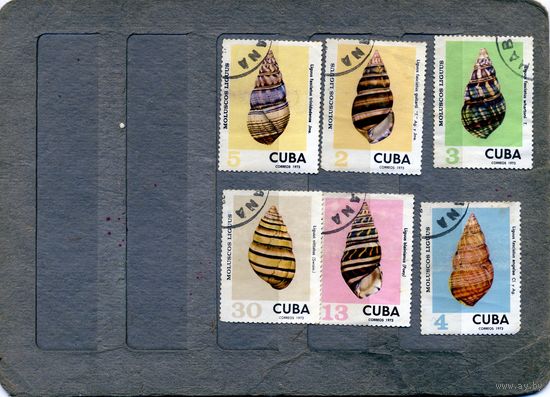 КУБА, 1973,  МОЛЛЮСКИ,   6м гашен