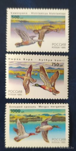 Россия 1995  утки