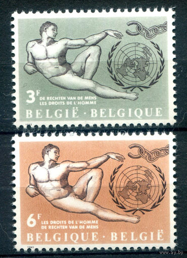 Бельгия - 1962г. - декларация прав человека - 2 марки - полная серия, MLH [Mi 1291-1292]. #2-Be-54-B-1