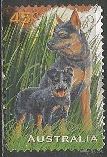 Австралия. Собаки. Овчарка и бульдог. 1996г. Mi#1597.