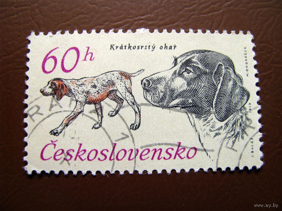 Чехословакия 1973 50 лет Чехословацкой охотничей организации