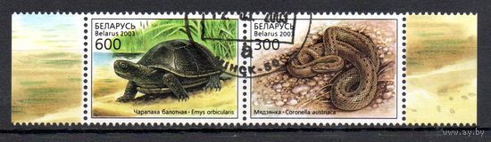 Рептилии Беларусь 2003 год (503-504) серия из 2-х марок в сцепке