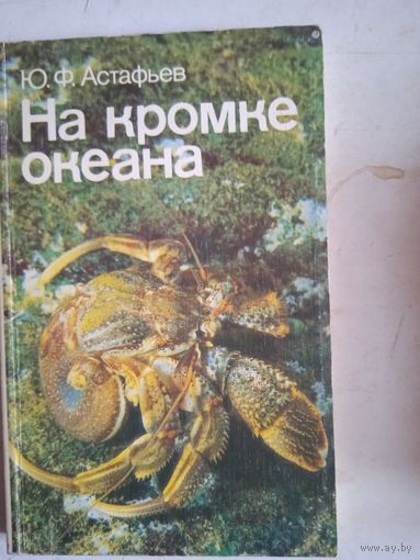 На кромке океана