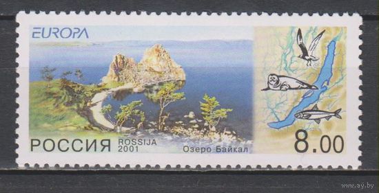 Россия 2001. Европа. Байкал. Заповедник. Фауна** птицы
