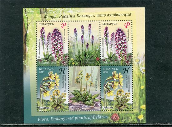 Беларусь 2011. Флора. Охраняемые растения. Малый лист