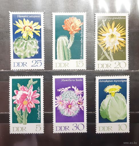 Германия. 1970 год. Флора. Кактусы (1587)
