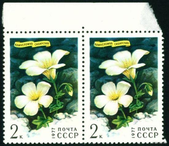 Цветы гор Сибири СССР 1977 год сцепка из 2-х марок