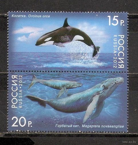 ФФ1 Россия 2012 Киты