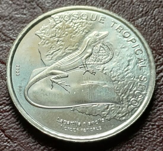 Коста-Рика 50 колонов, 2023  Шелковистый анолис    ( 2-8-6 )