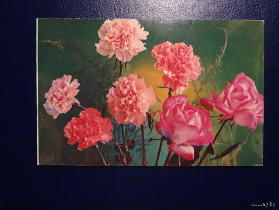 Поздравляем! Розы, гвоздики. 1978 г. подписанная. двойная.