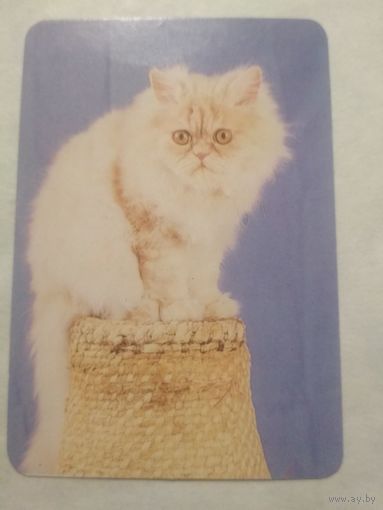 Карманный календарик. Котик.1994 год