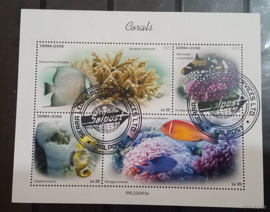 ФАУНА рыбы морская жизнь  БЛОК сто