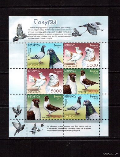 Беларусь-2011,(Мих.Бл.89)   Голуби