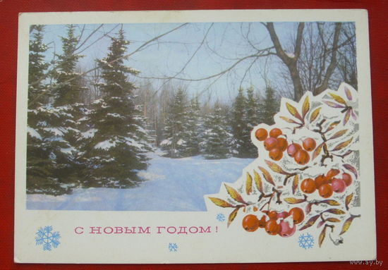 С новым годом! Чистая. 1975 года. Ахмедов. 1905.