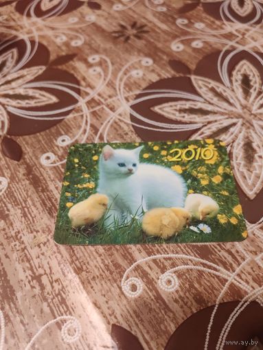 Календарик,коты,украина,2010