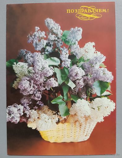 Поздравляем! Сирень. Открытка чистая, 1992г.
