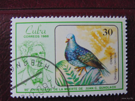 Куба 1990 г. Птицы.
