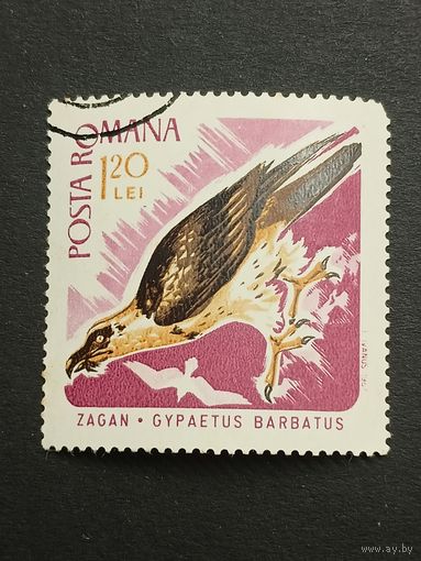 Румыния 1967. Хищные птицы