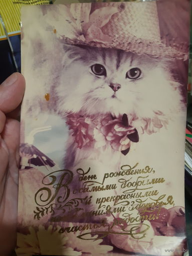 Фотооткрытка. Кооператив. С котиком. (1)