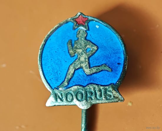 СССР значок ДСО НООРУС (ЮНОСТЬ) Эстония