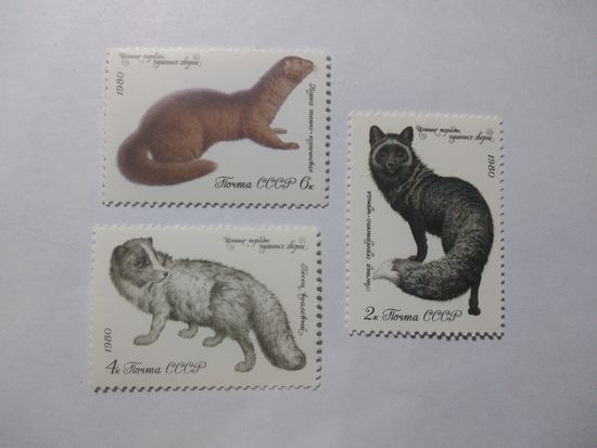 СССР 1980 ЦЕННЫЕ ПОРОДЫ ПУШНЫХ ЗВЕРЕЙ