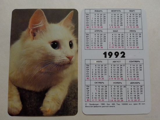 Карманный календарик. Котик.1992 год