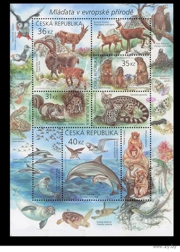 2025 Чехия 1323-1326 Европейская фауна. Звери и зверята Блок **