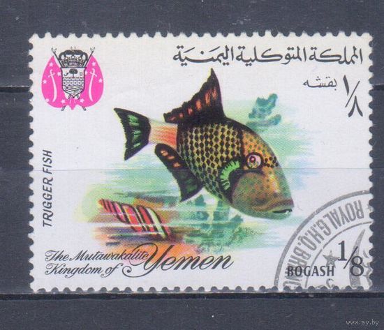 [895] Йемен 1967. Фауна.Рыба. Гашеная марка. 1